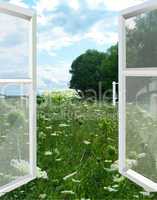 opened window to the summer field