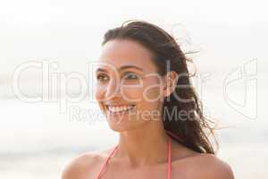 Smiling pretty brunette posing in bikini
