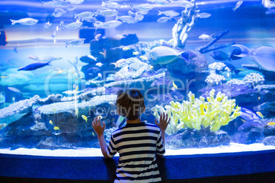 Young man touching a fish-tank