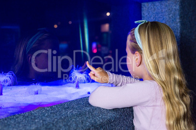 Young woman pointing a sea anemone in tank