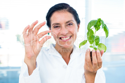 Scientist holding basil plant and pill