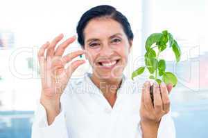 Scientist holding basil plant and pill