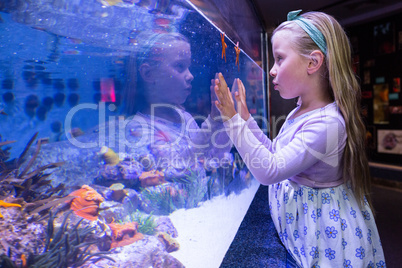 Young woman touching a starfish-tank
