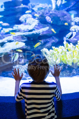 Young man touching a fish-tank