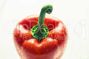 Red pepper with water drops