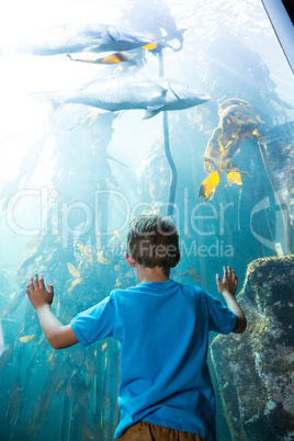 Young man touching a illuminate fish-tank