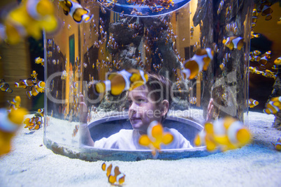 Young man looking at fish into a circular tank