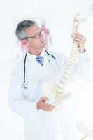 Doctor examining anatomical spine
