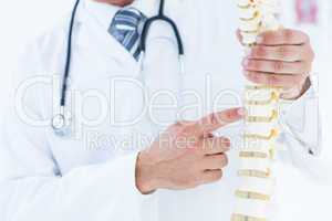 Doctor showing anatomical spine