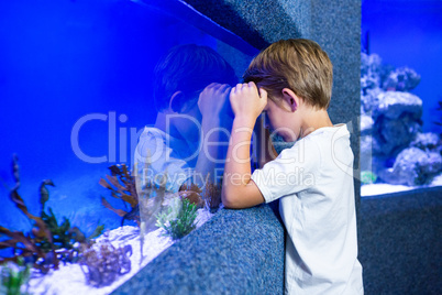 Young man focusing an algae in a tank