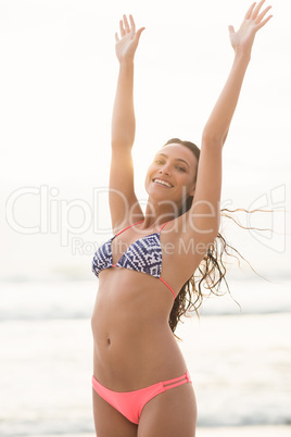 Smiling pretty brunette posing in bikini