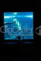 Young man watching fish in a darkest room
