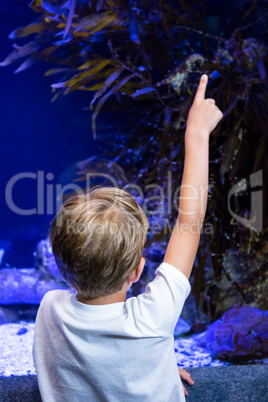 Young man pointing something in a tank