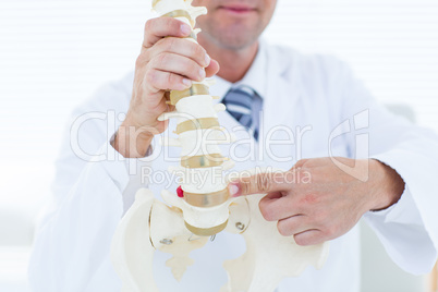 Doctor showing anatomical spine