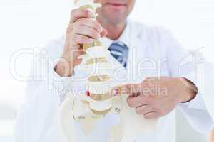 Doctor showing anatomical spine