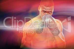 Composite image of muscular boxer