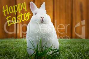 Composite image of fluffy bunny