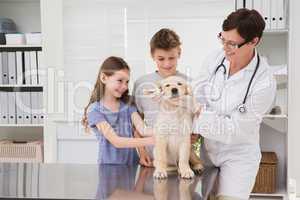 Smiling vet examining a dog with its owners