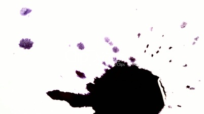 Ink drops on white