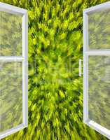 opened window to the green abstraction