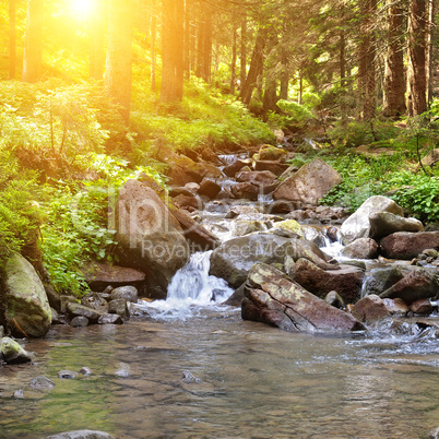 mountain river, forest and bright sun