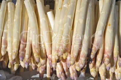 spargel