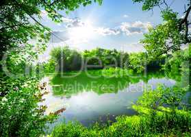 Green spring on river