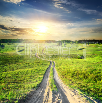 Road through spring field