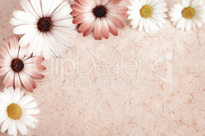 Naturpapier Hintergrund umrahmt mit Blumen