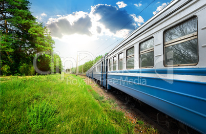 Train and pine forest