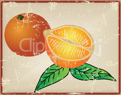 Citrus fruit - oranges