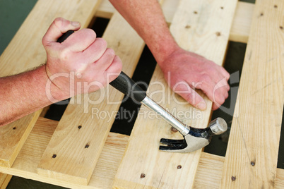 Carpenter using a claw hammer