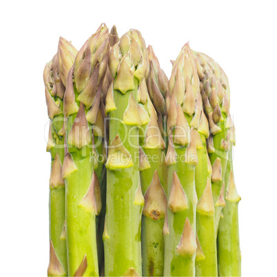 Asparagus vegetable isolated