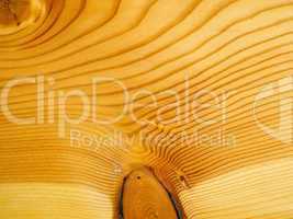 Brown larch wood background