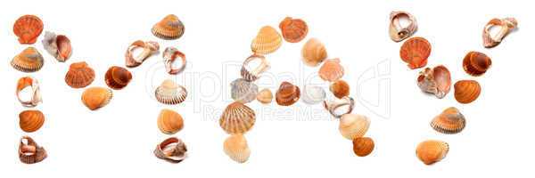 M A Y text composed of seashells