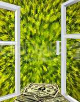 window opened to green abstraction and dollars