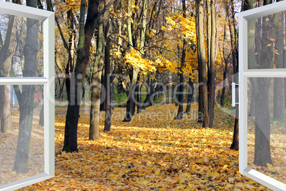 opened window to autumn park