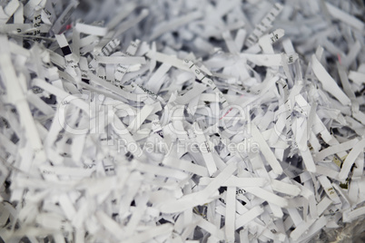 Close Up of Shredded Paper Documents