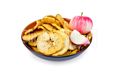 Apple fresh and slices of dried in bowl