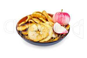 Apple fresh and slices of dried in bowl