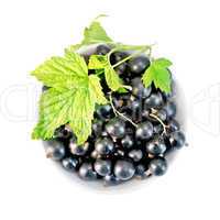 Black currants in bowl with leaf on top