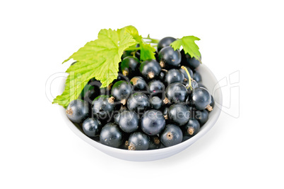 Black currants in bowl with leaf