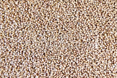 Buckwheat brown texture