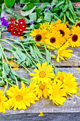 Calendula yellow on older boards