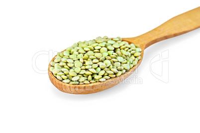 Lentils green in wooden spoon