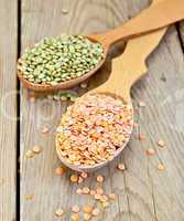 Lentils red and green in spoon on wooden board
