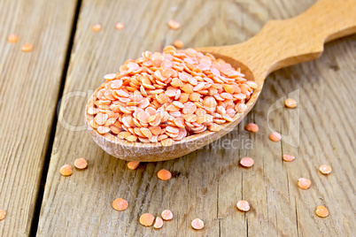 Lentils red in wooden spoon on board