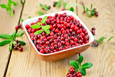 Lingonberry red in bowl on board