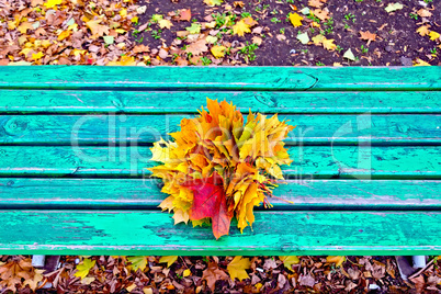 Maple leaves on bench