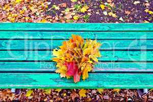 Maple leaves on bench